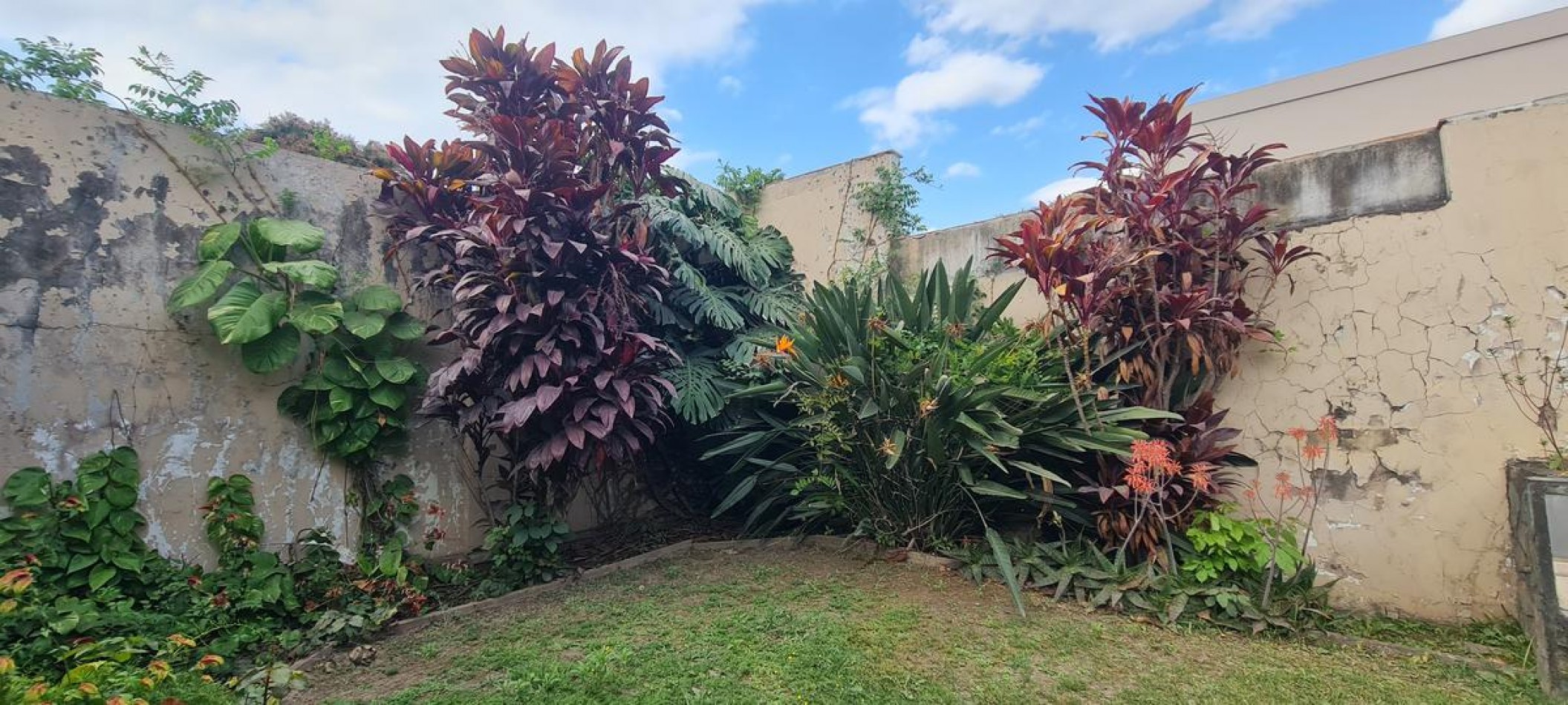 CASA en Av. Mate de Luna 2575