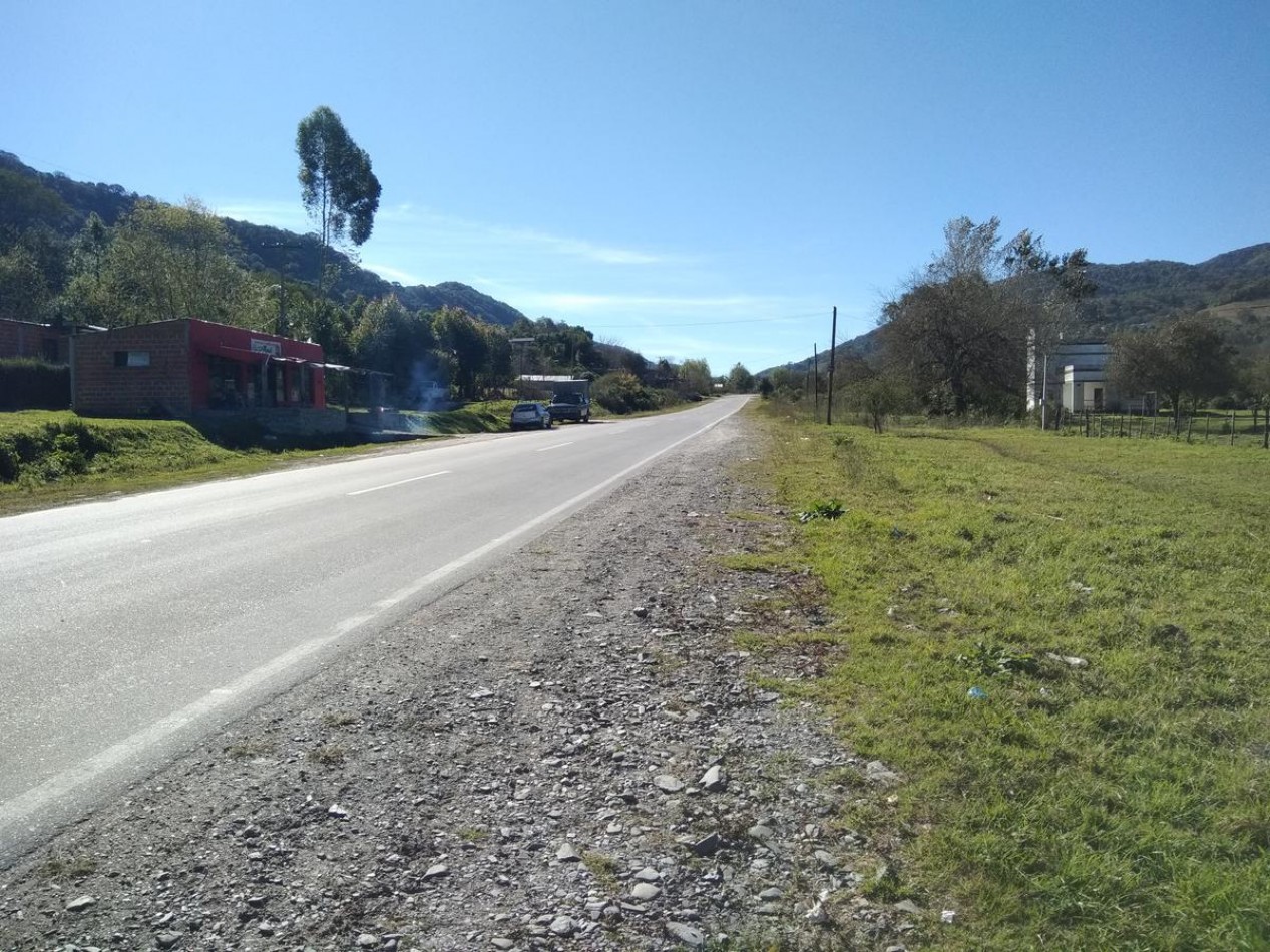 Lote de 6 hectareas en La Sala San Javier (Sobre Ruta) 