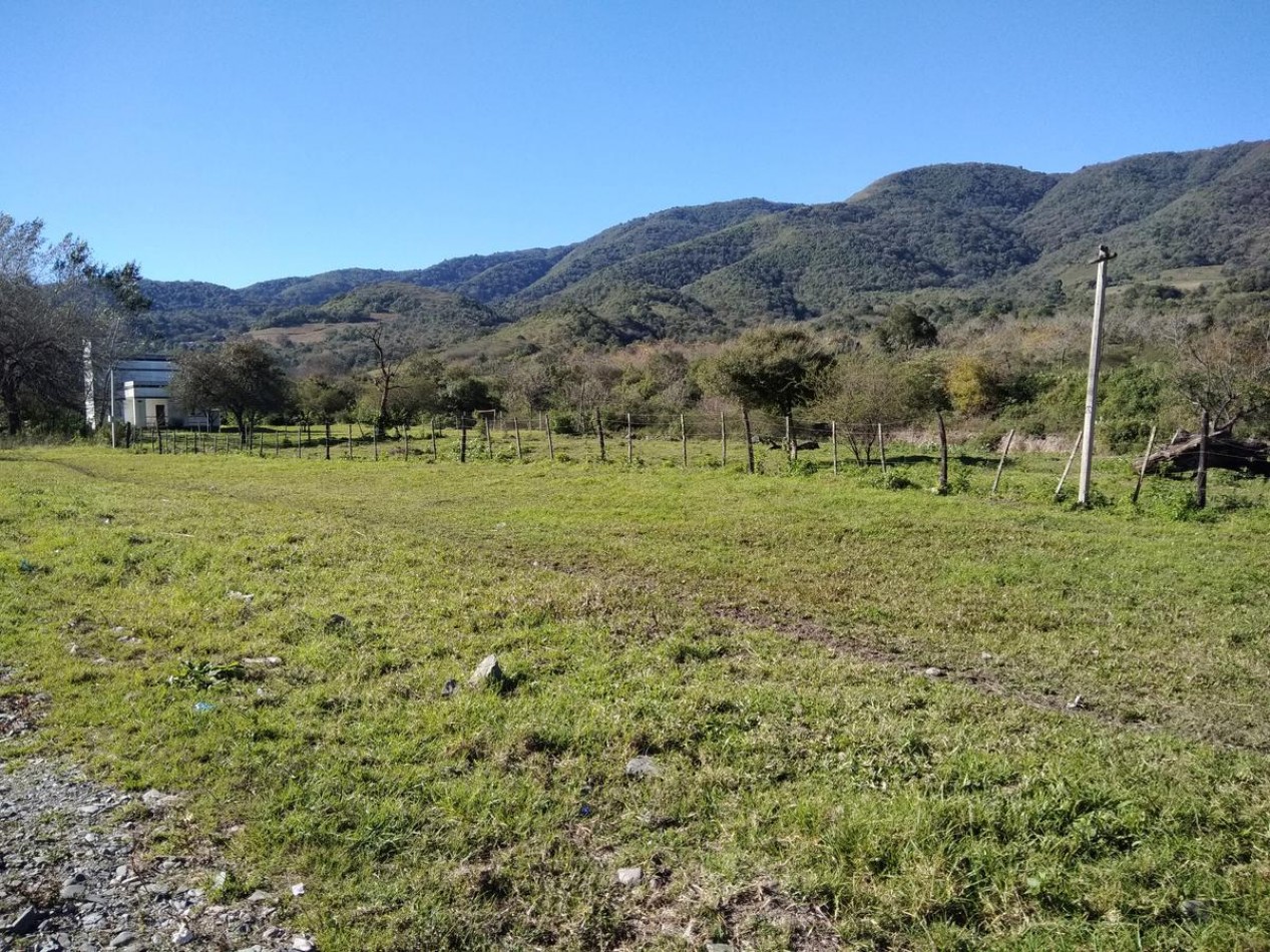 Lote de 6 hectareas en La Sala San Javier (Sobre Ruta) 