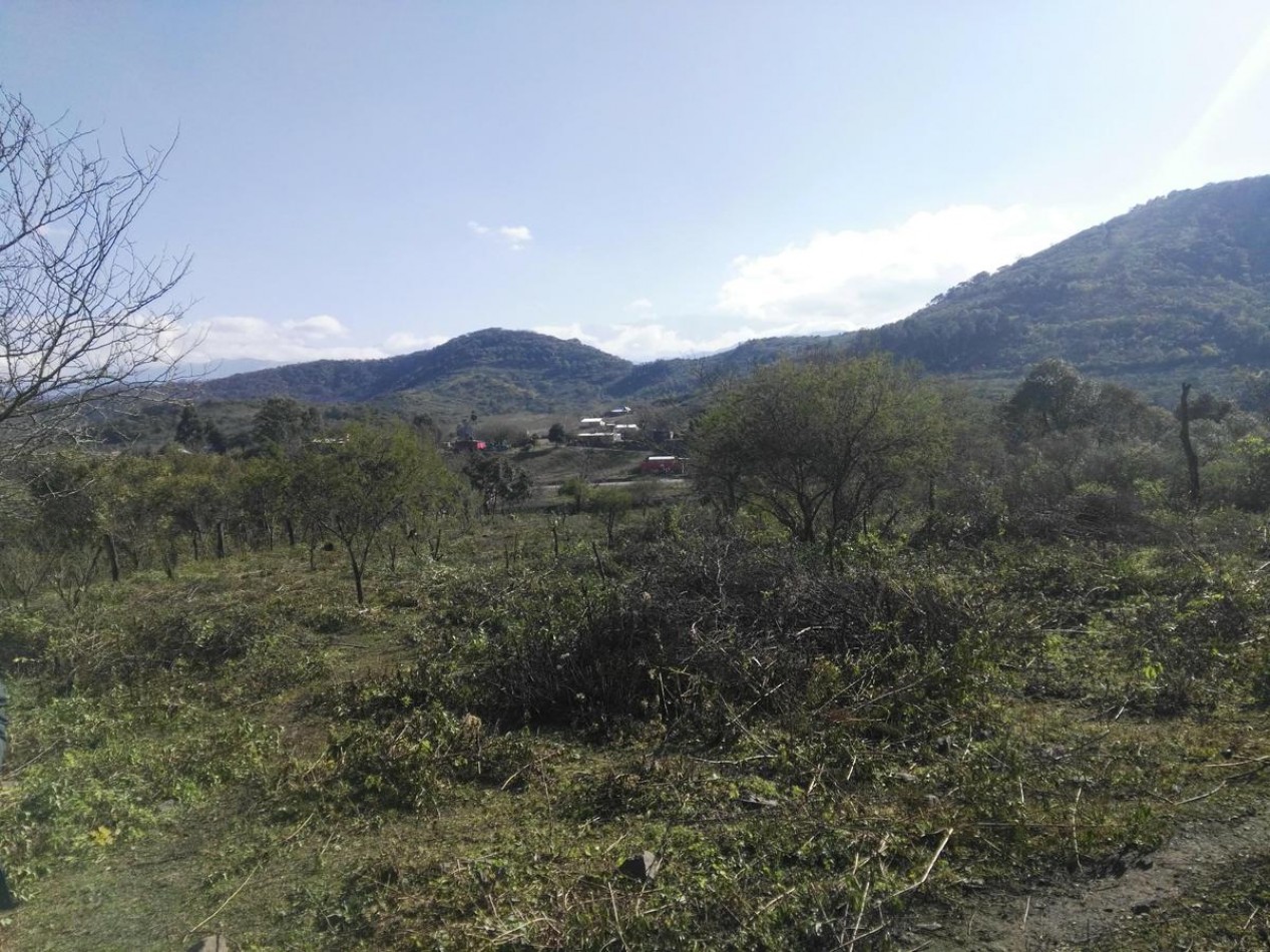 Lote de 6 hectareas en La Sala San Javier (Sobre Ruta) 