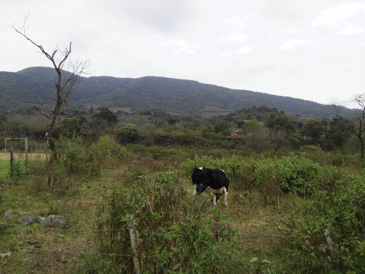 Lote de 6 hectareas en La Sala San Javier (Sobre Ruta) 