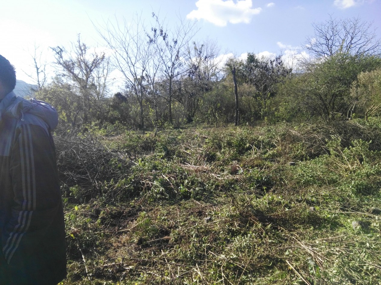 Lote de 6 hectareas en La Sala San Javier (Sobre Ruta) 