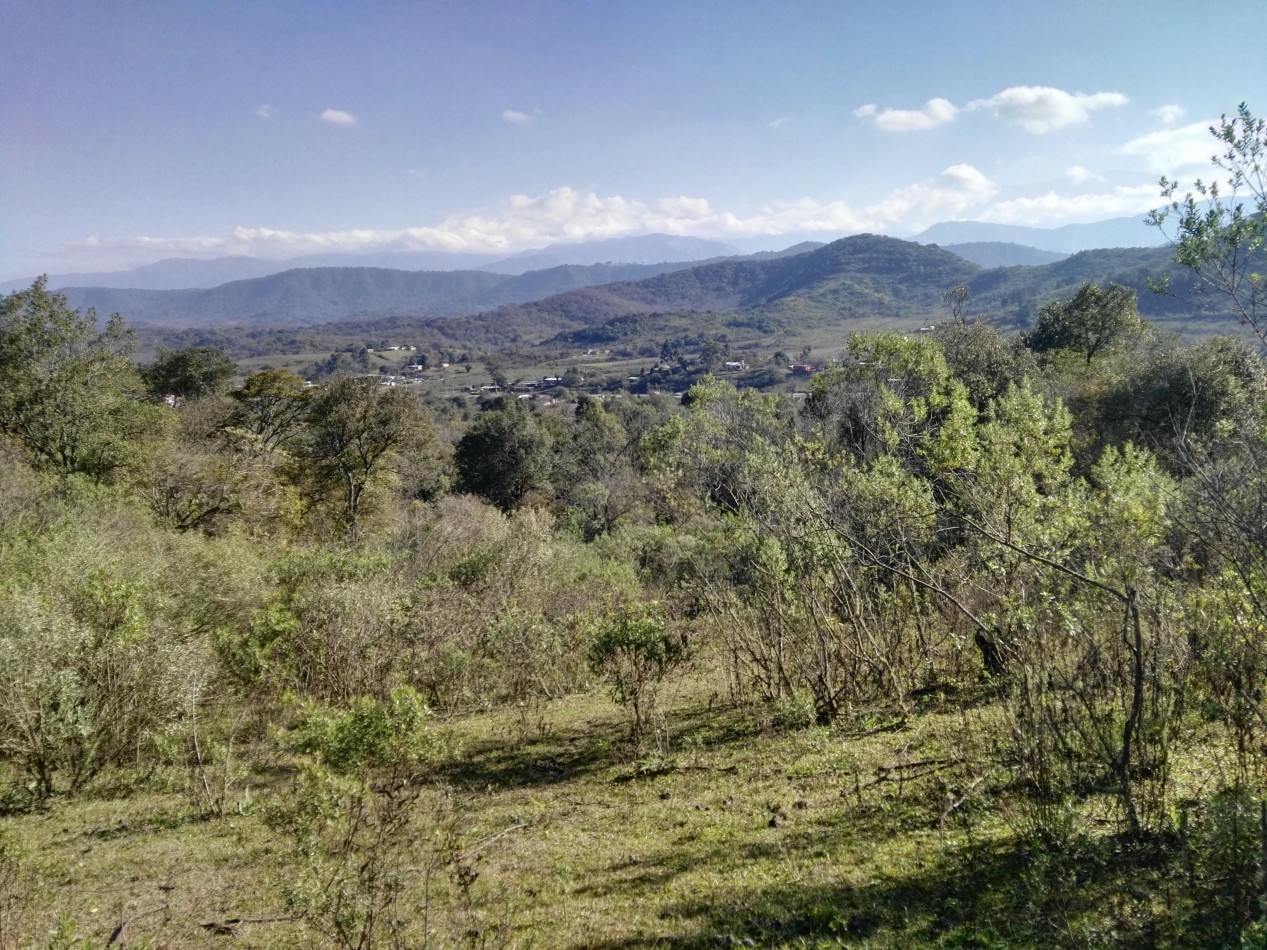 Lote de 6 hectareas en La Sala San Javier (Sobre Ruta) 