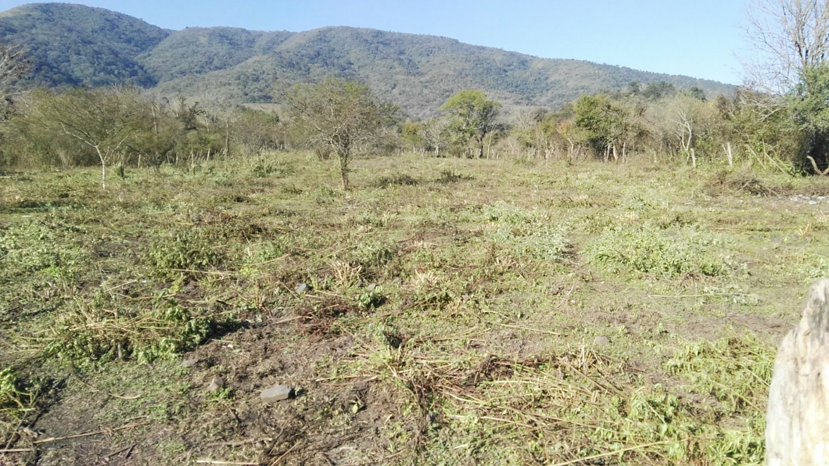 Lote de 6 hectareas en La Sala San Javier (Sobre Ruta) 