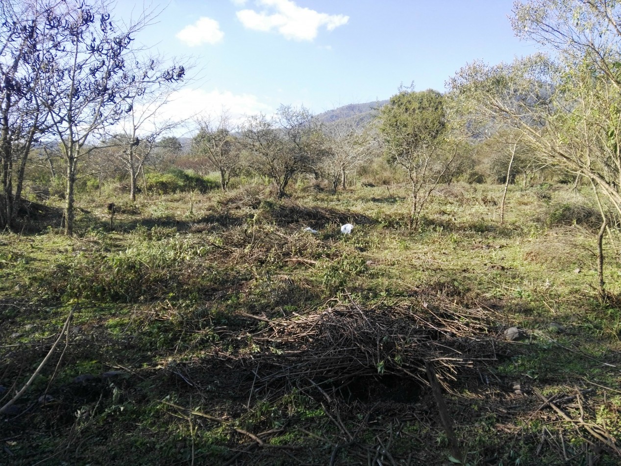 Lote de 6 hectareas en La Sala San Javier (Sobre Ruta) 