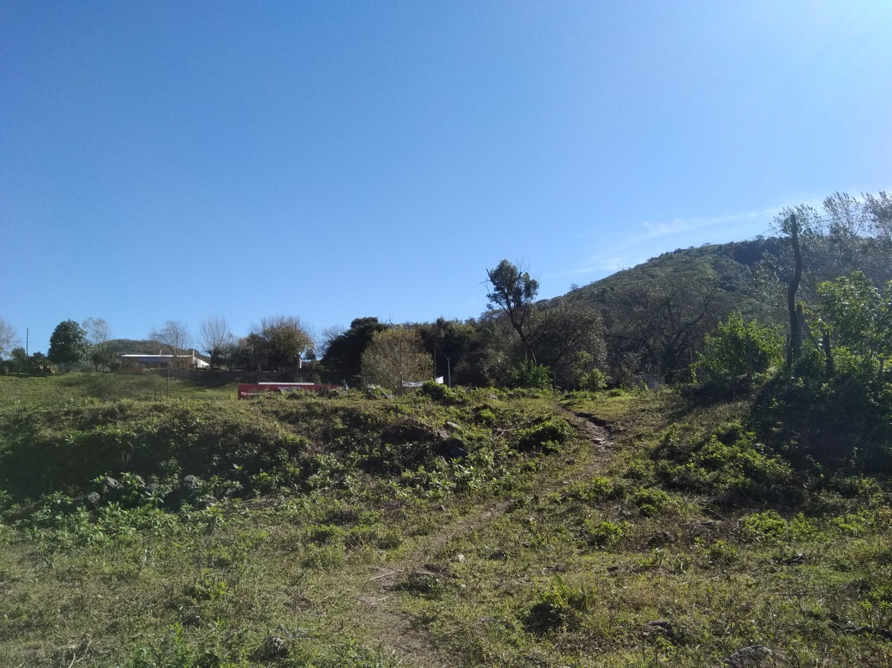 Lote de 6 hectareas en La Sala San Javier (Sobre Ruta) 